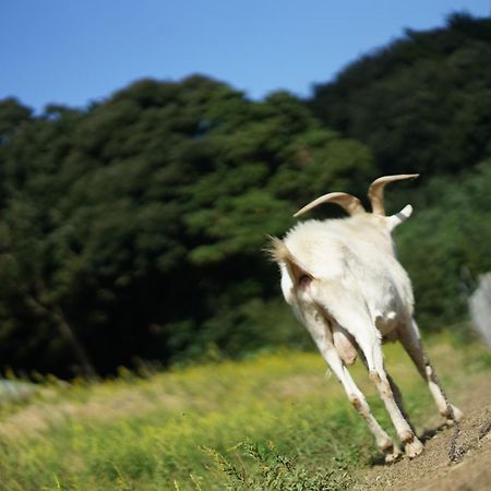 舞鶴ふるるファームコテージ Maizuru Exterior foto