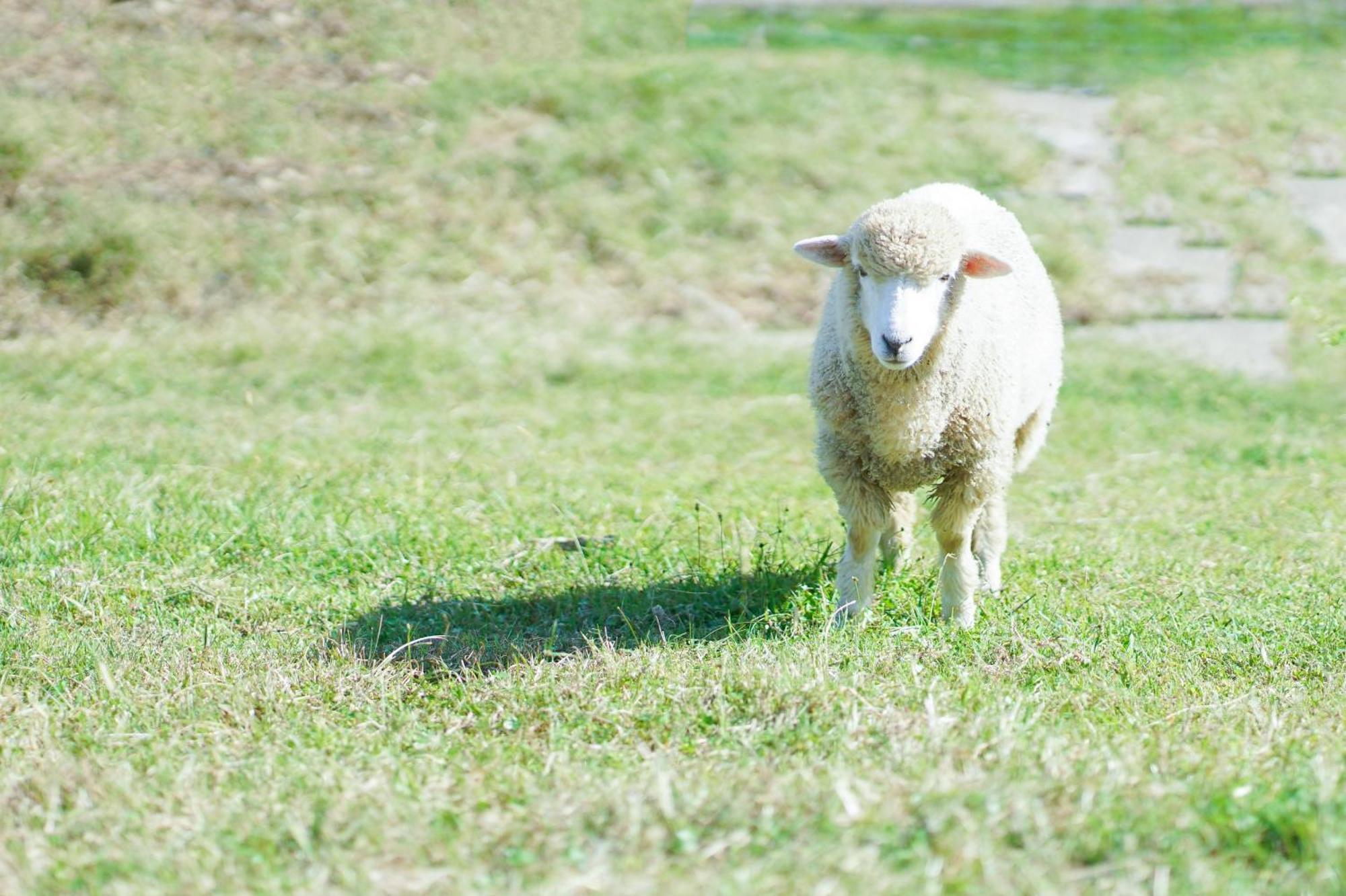 舞鶴 ふる a Ferm Cotergi Vila Maizuru Exterior foto