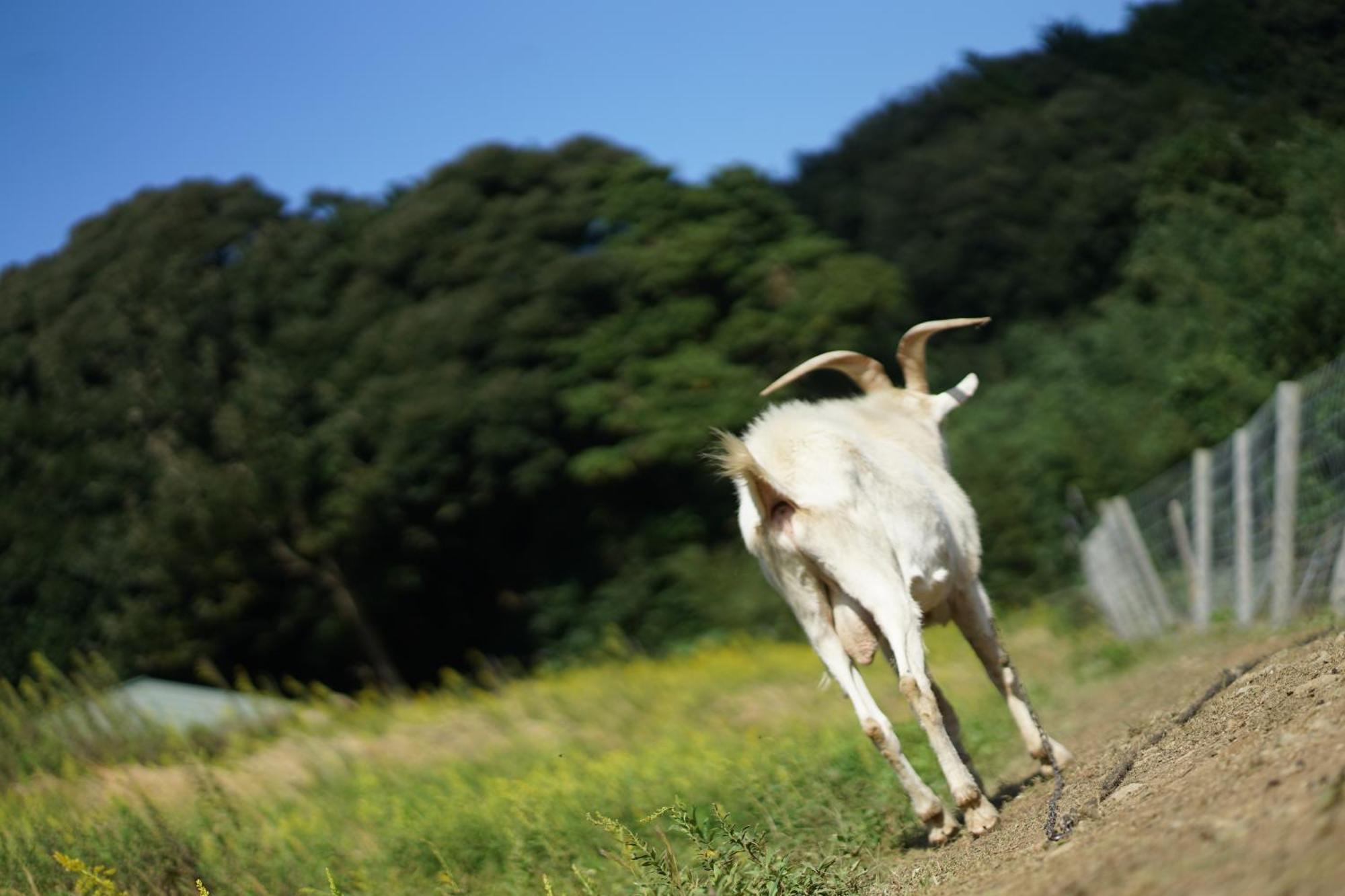 舞鶴ふるるファームコテージ Maizuru Exterior foto
